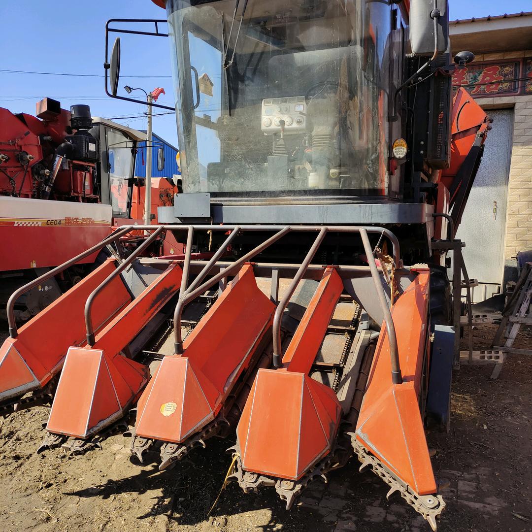 孟村回族自治县沣汇农民专业合作社