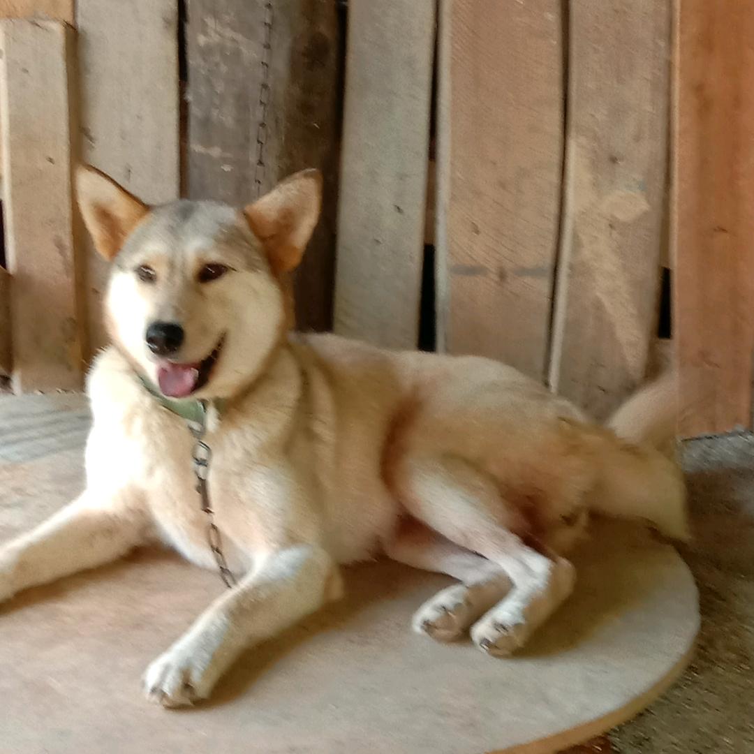 隔壁老王一昏鲁口