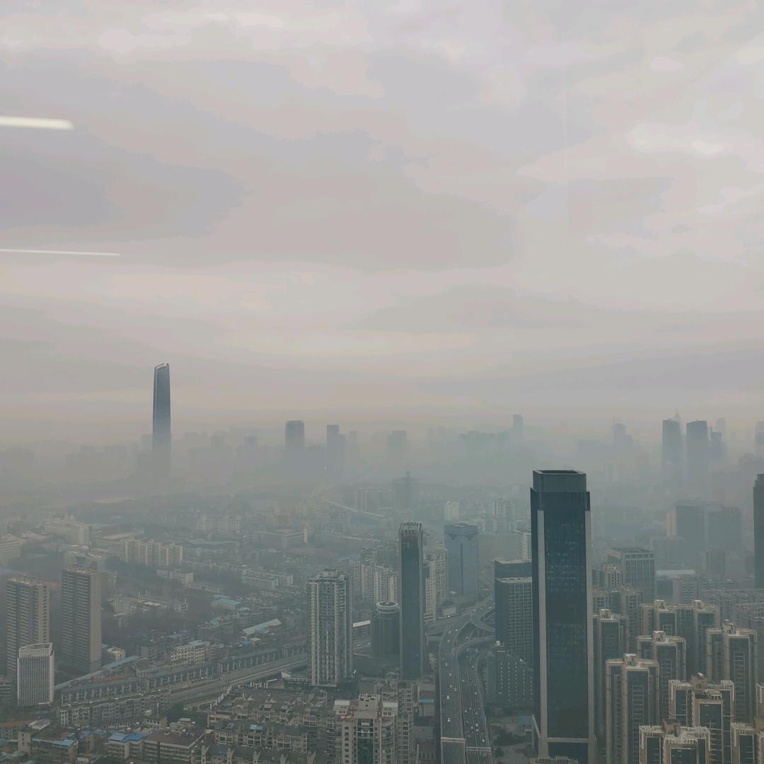 迷晨