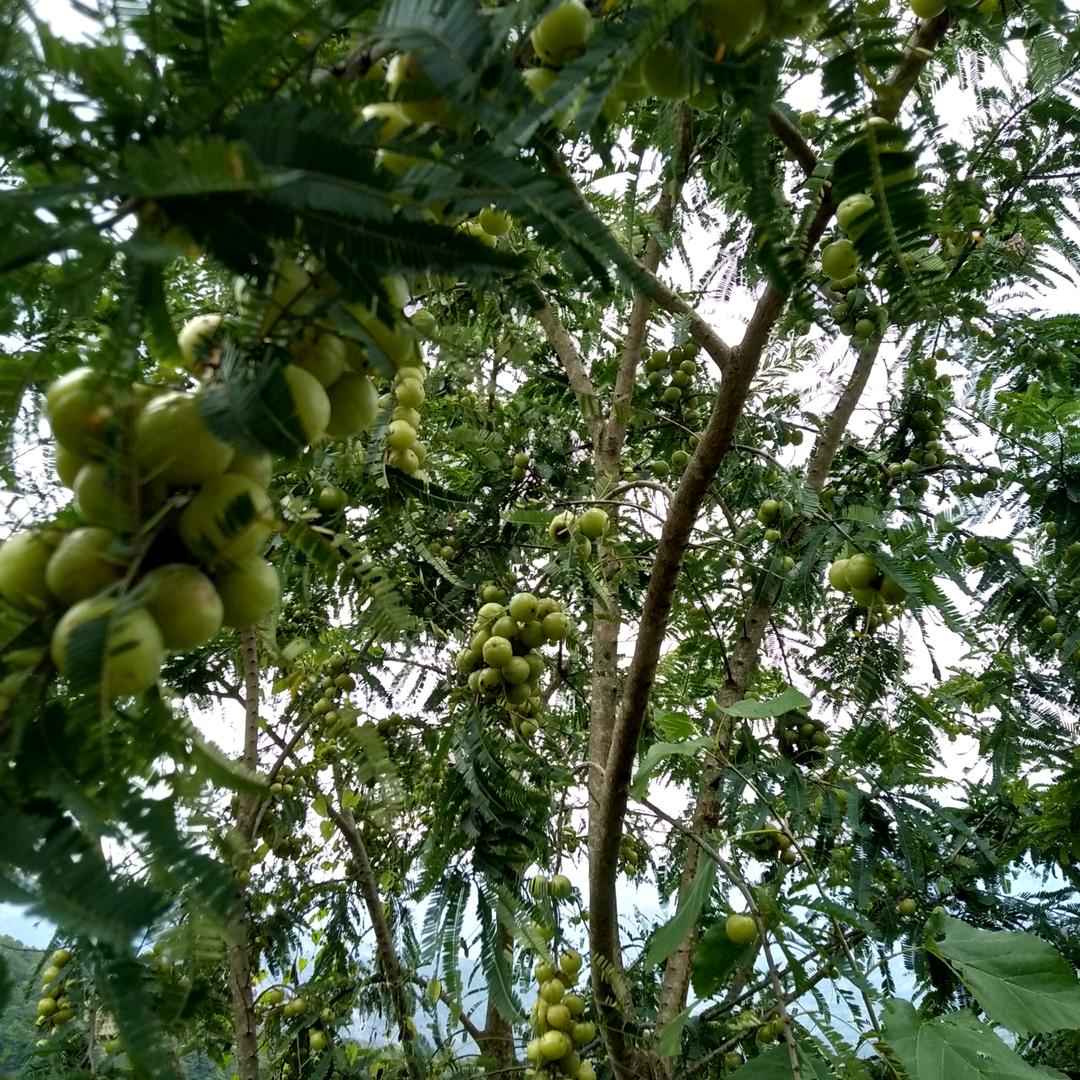 风雨中的生活