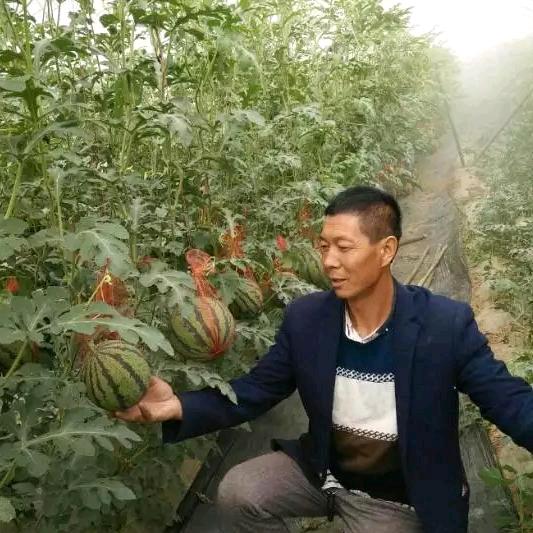 杨凌棚哥（心态好）