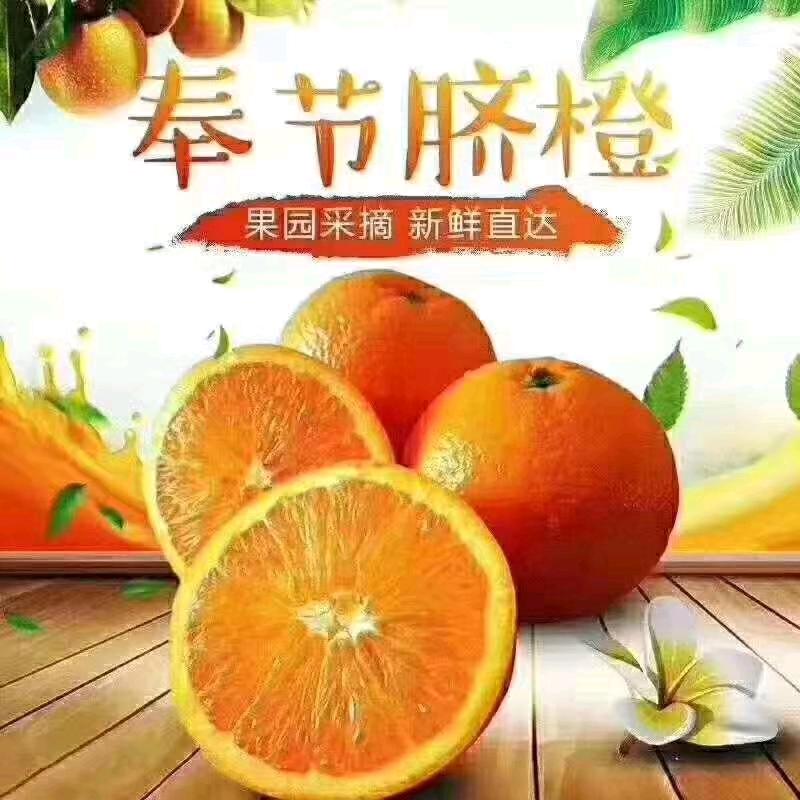 Honey♥昊宇