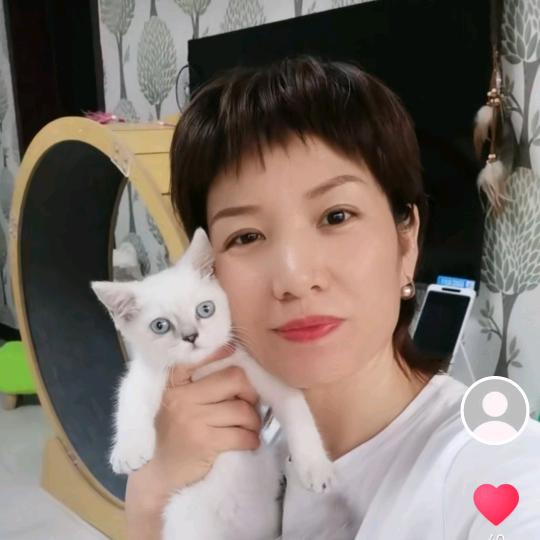 @邢台怡豪猫舍