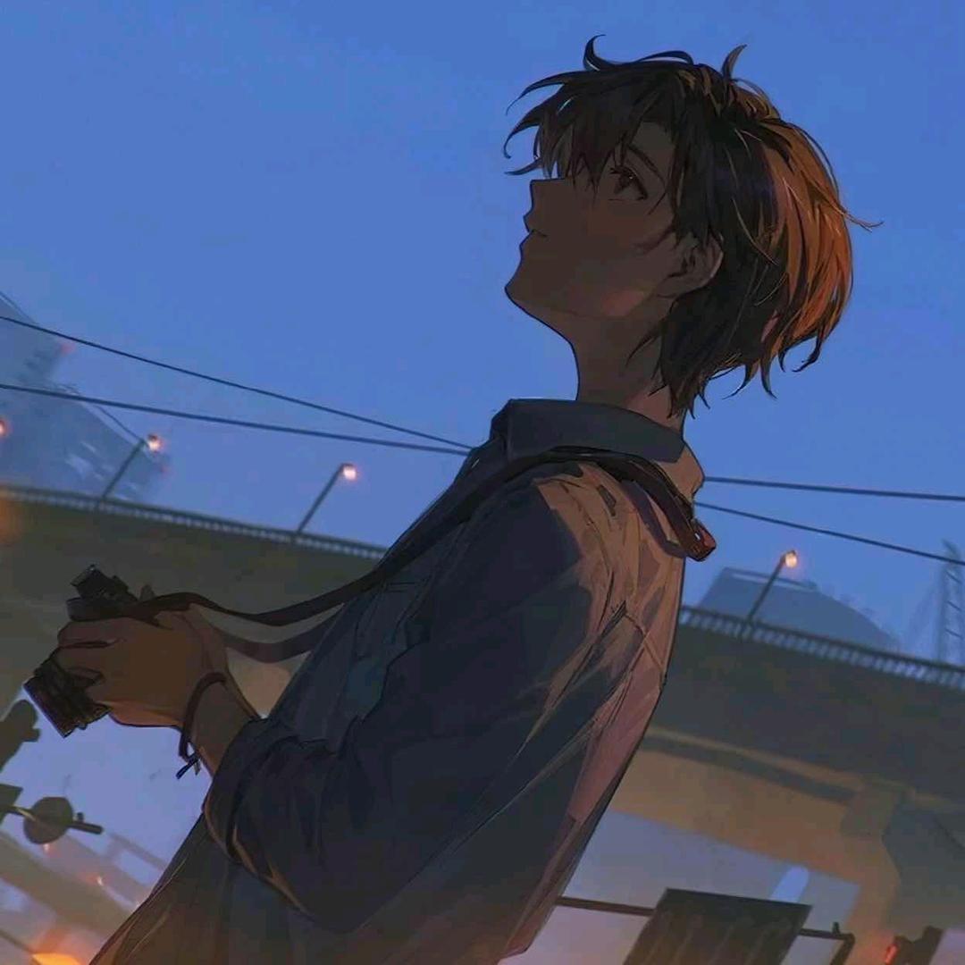 一颗小李子(人机版)