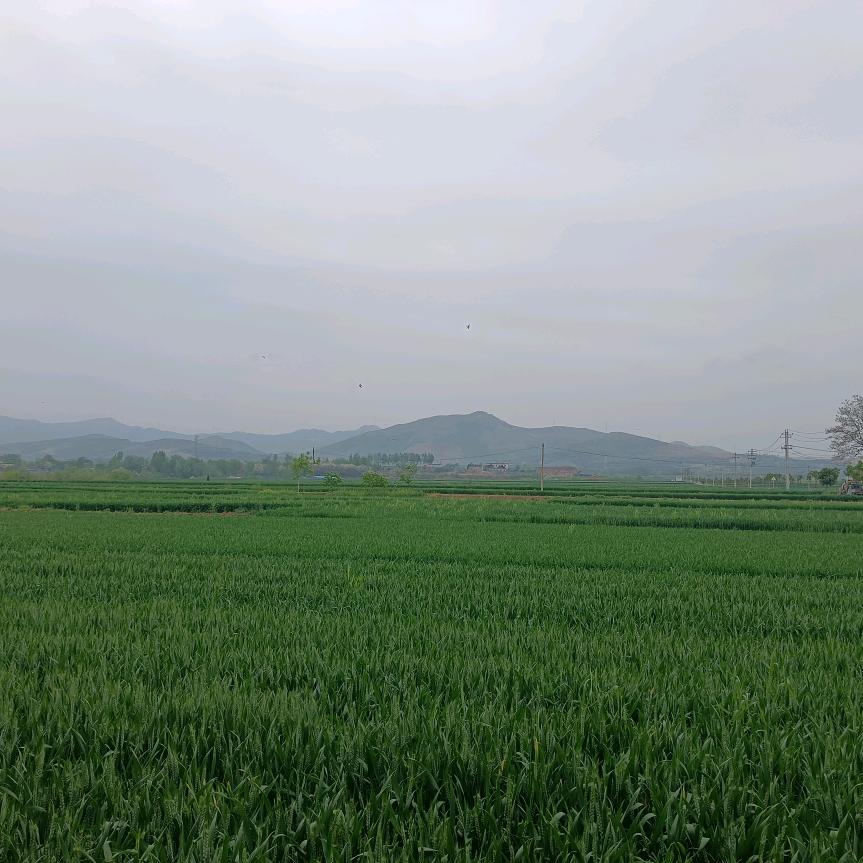 山间小道