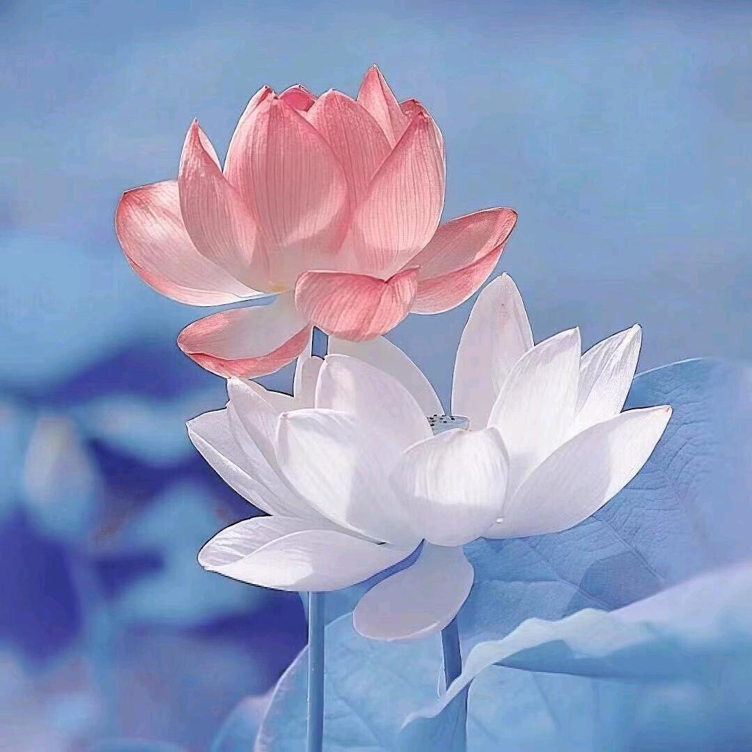 春暖花开