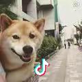 杰