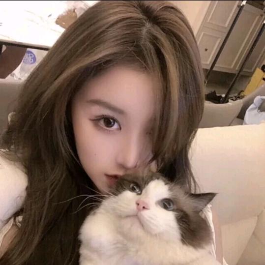 坏坏的凡