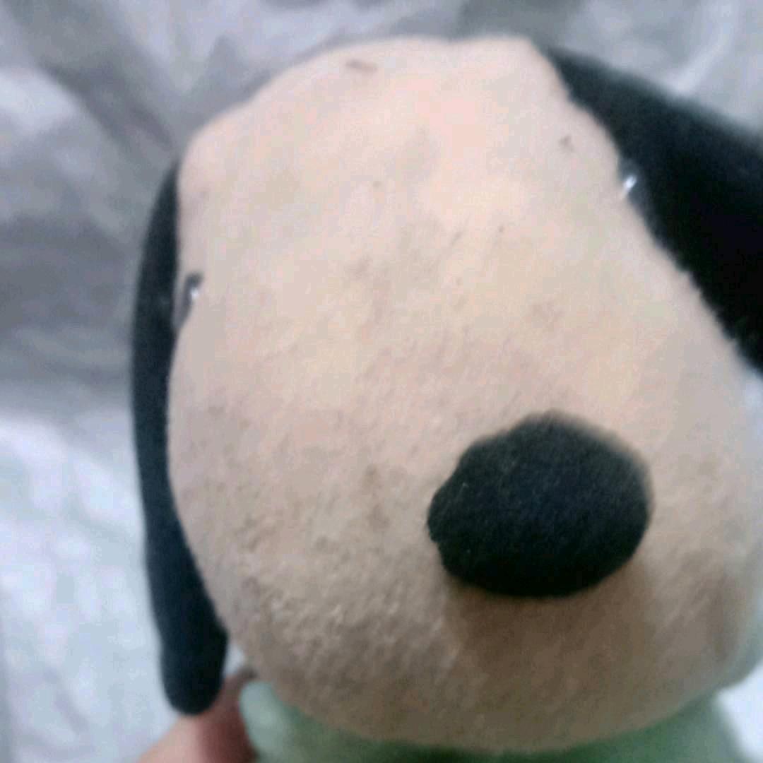 擎天猪888