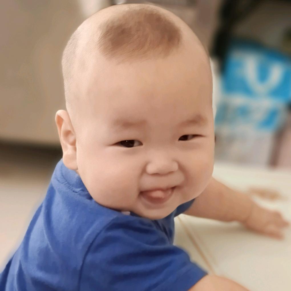 鹏@鹏
