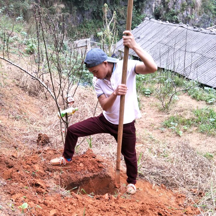 生命因你而火热