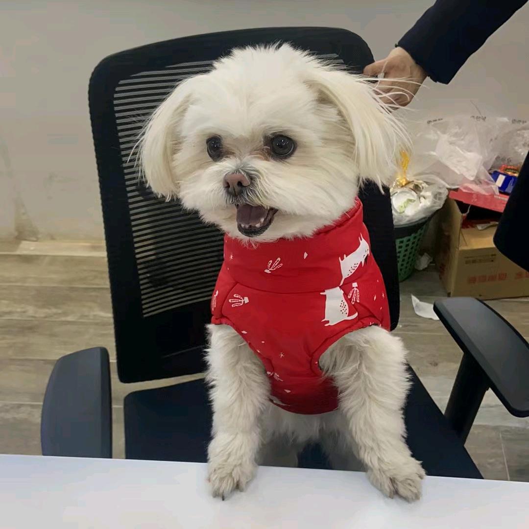 居然之家可爱球球