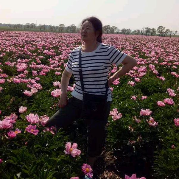 孙姐