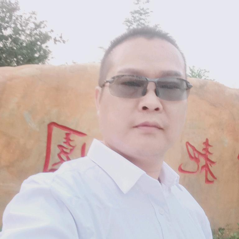 龍飞凤舞