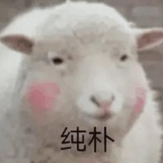 苏堤春晓m