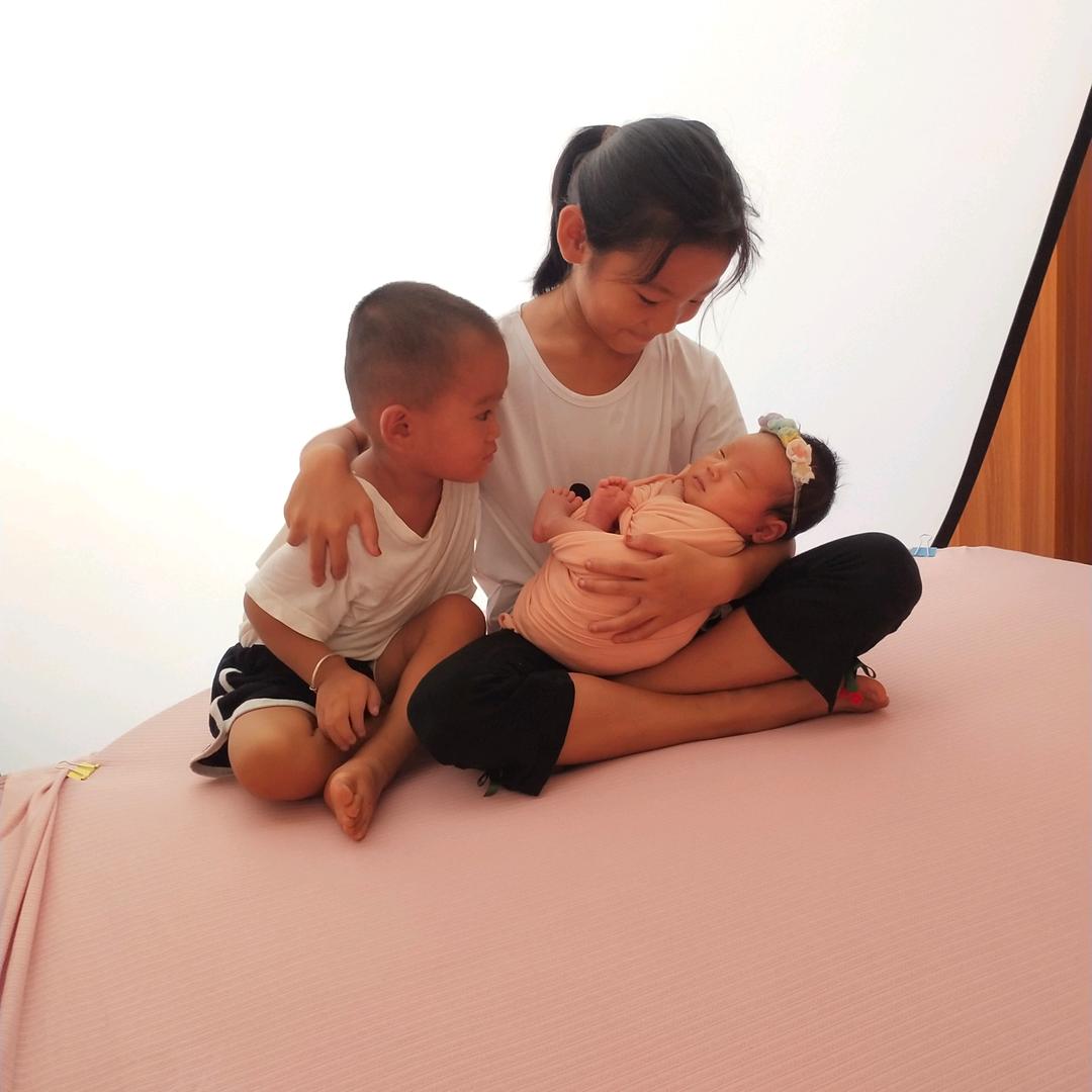 蝴蝶兰