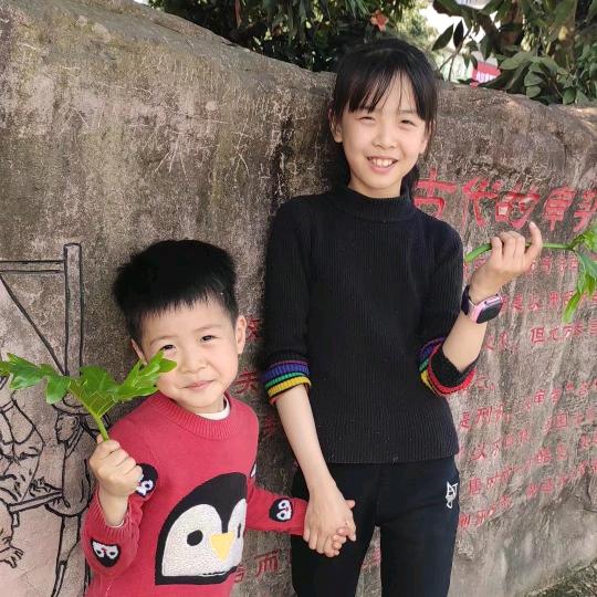 凤姐