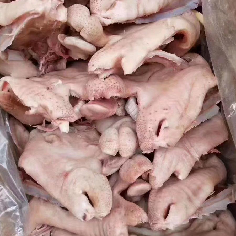 牧草羊冻品加工