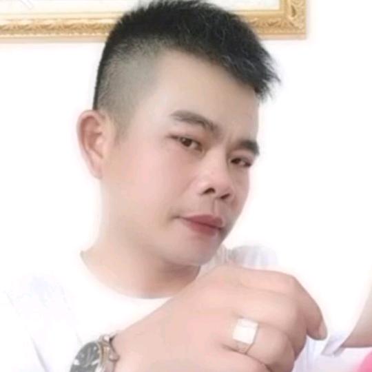 我的鸽子