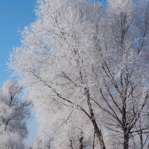 用户1156669871739哈哈