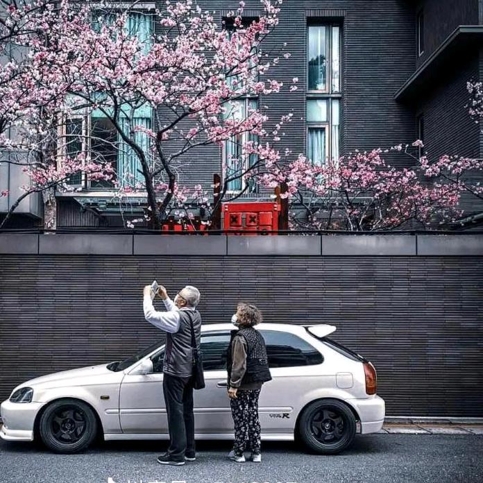 秦xiansheng