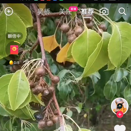 似水流年