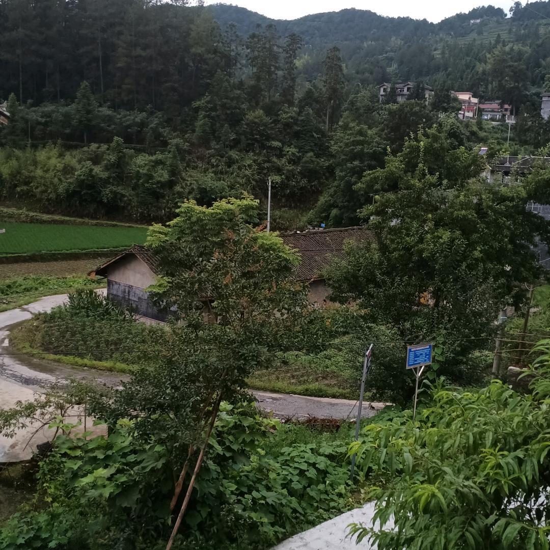 睿睿的奶奶
