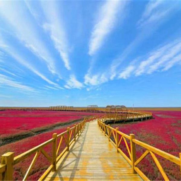 秋天不懂夏的热头像