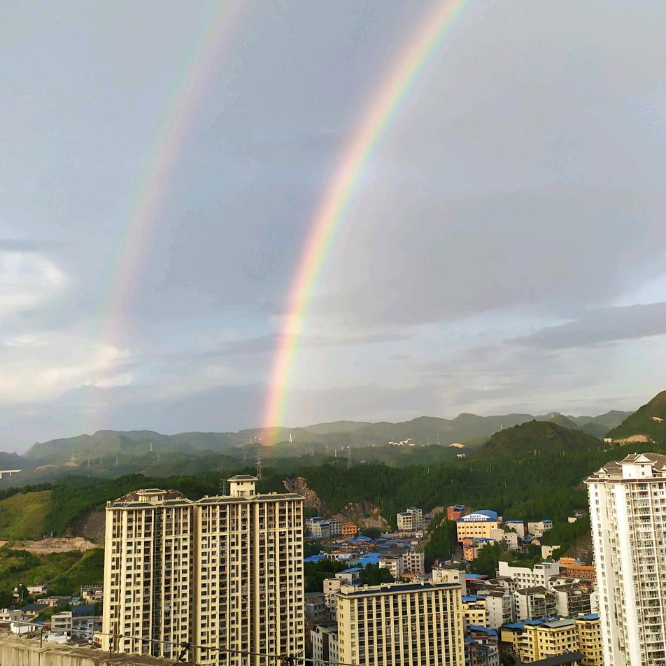 百合花溪头像
