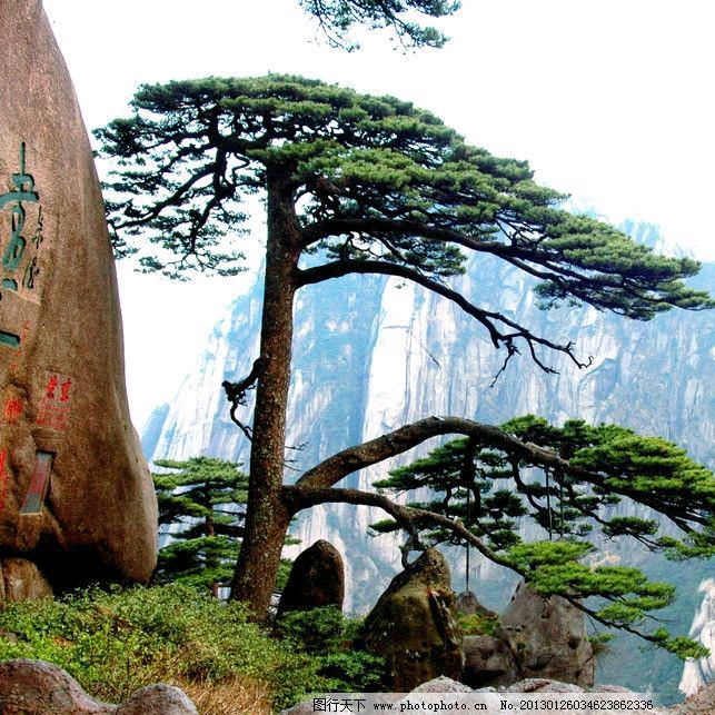 💖朱ℒℴѵℯ℘࿐·¹³¹⁴ృ༊