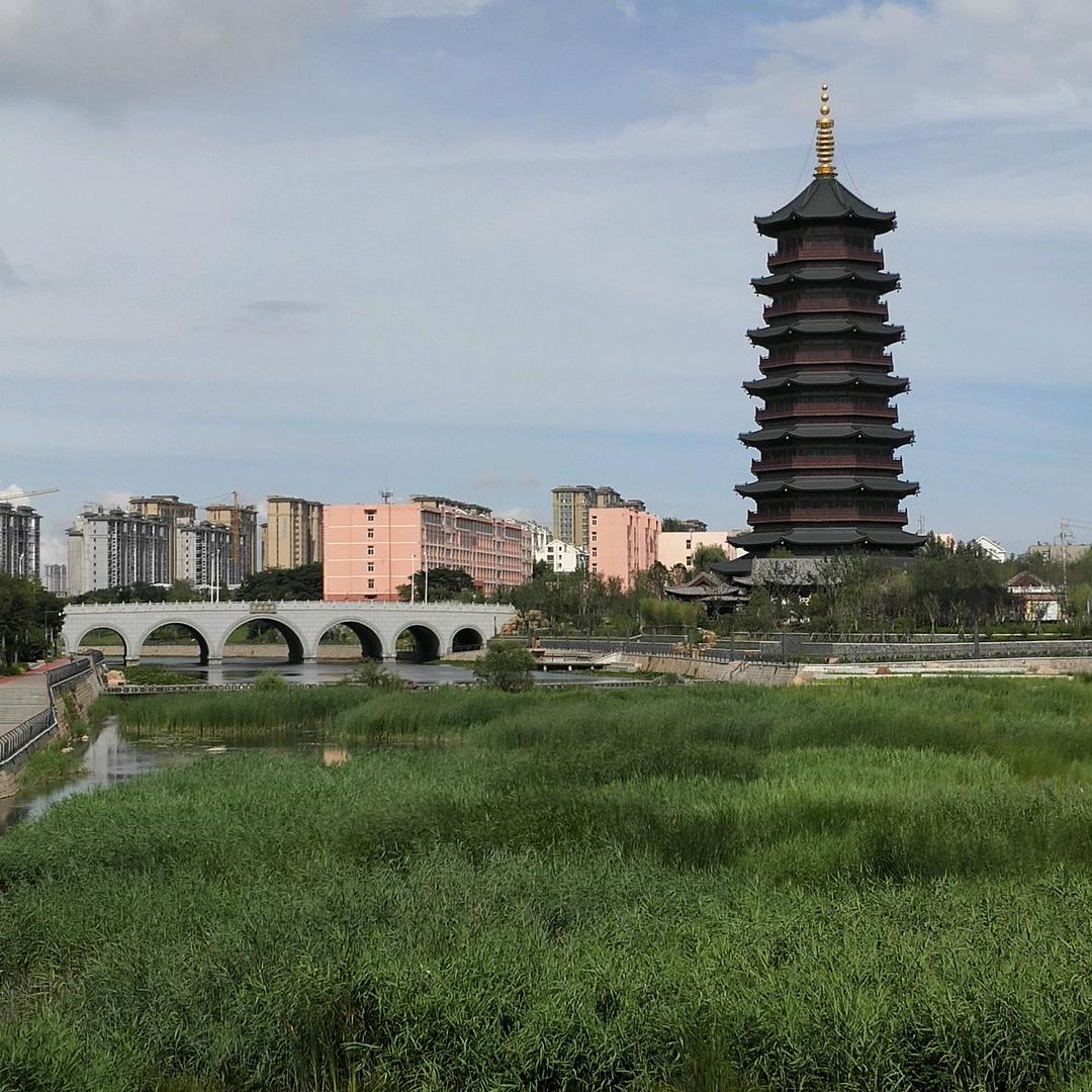 傲视群雄