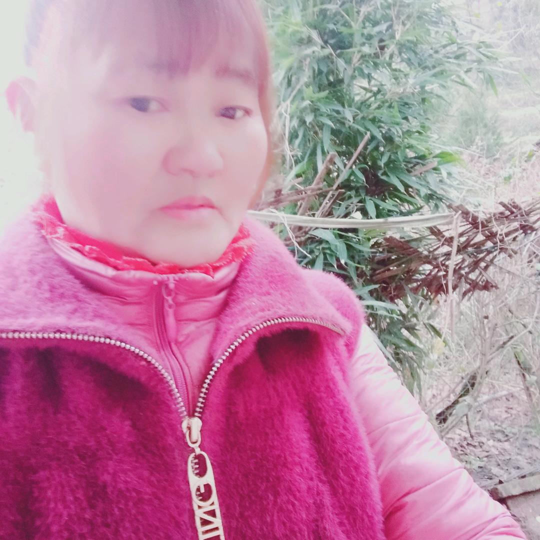 熊友友