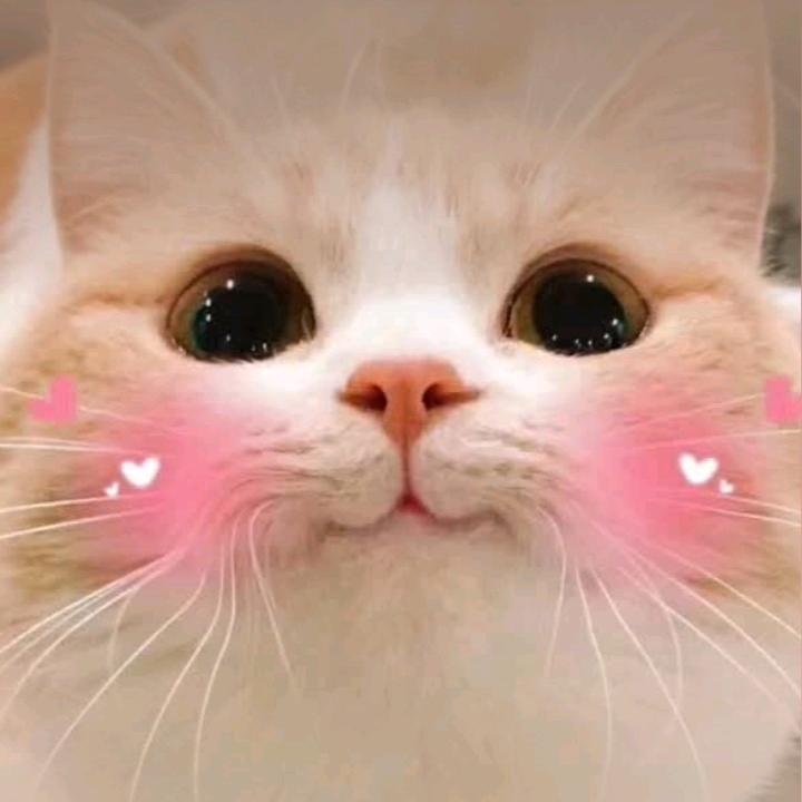 珍惜眼前
