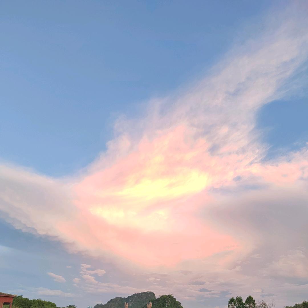 🌈🌈停淇森林🌈