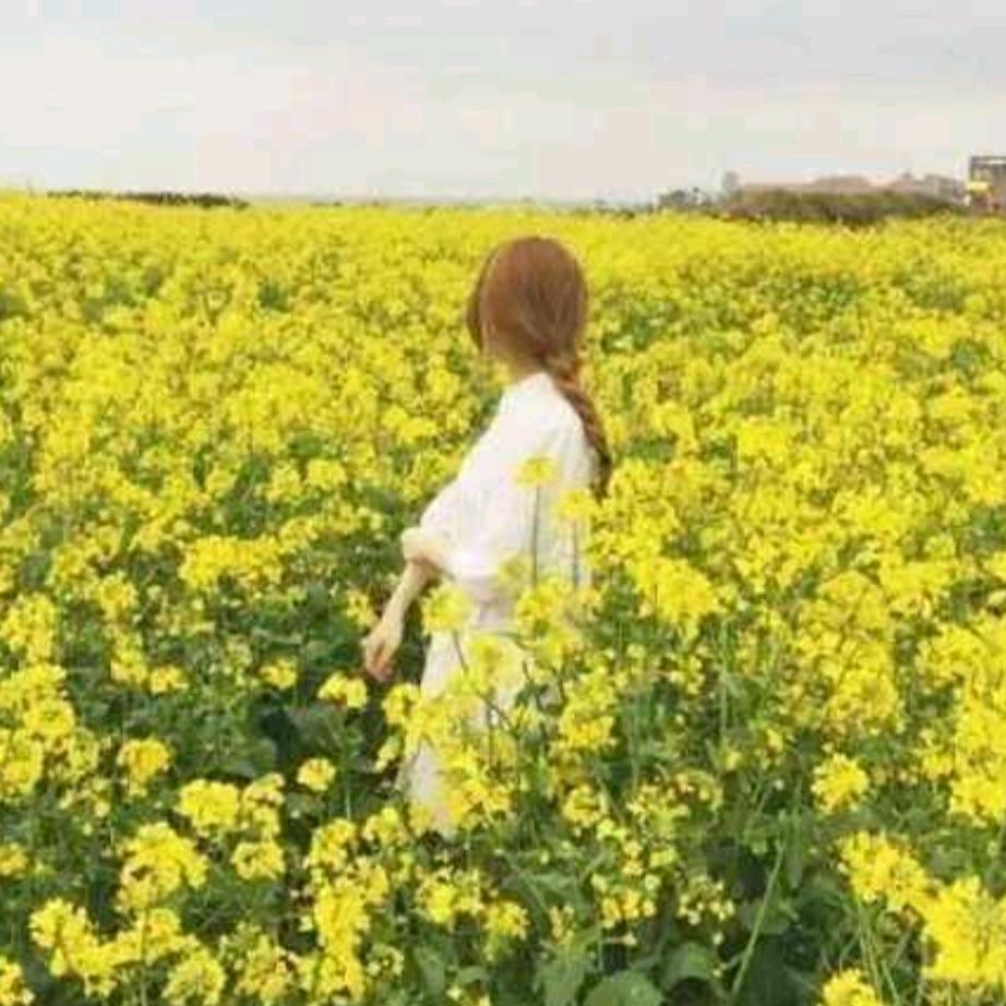 田七月