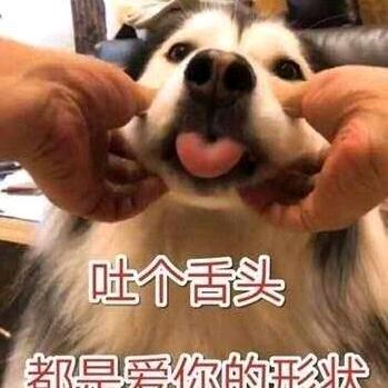 沉梦听雨醉星辰