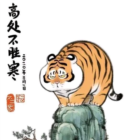 派大星的花裤衩