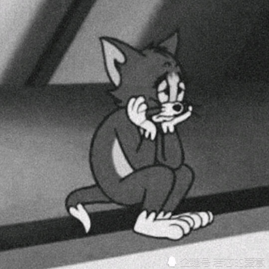 🥷捷克~