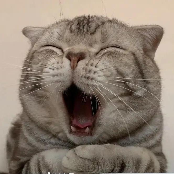 嘟嘟肖
