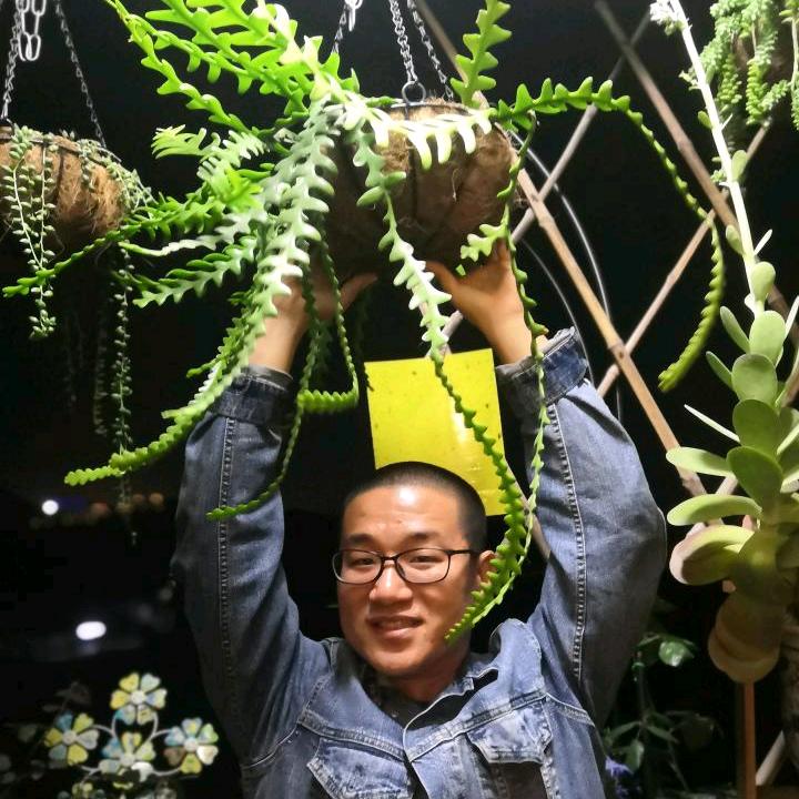 安可与植物