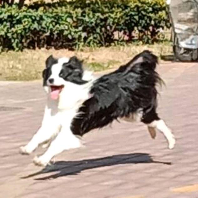 爱吃浪味仙