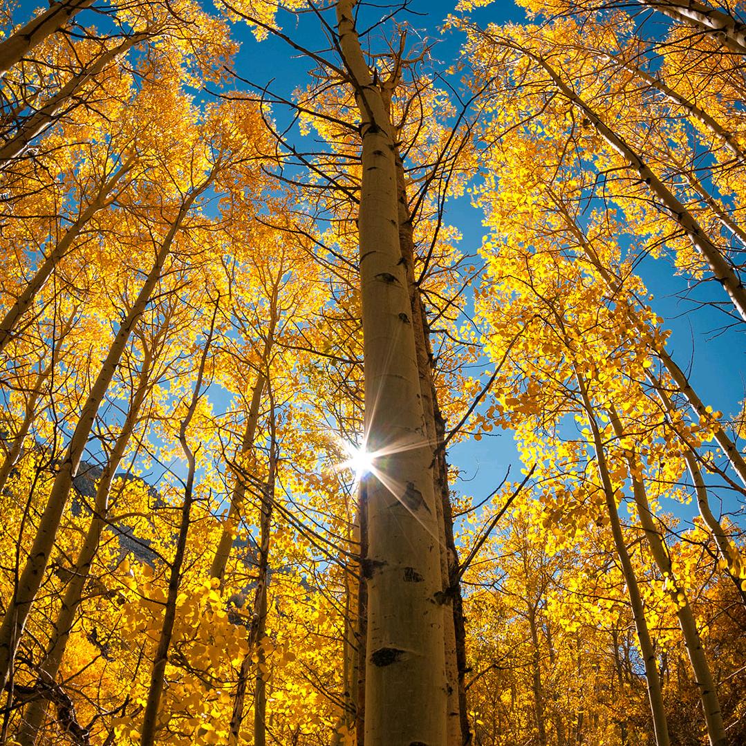 南安市说说笑笑