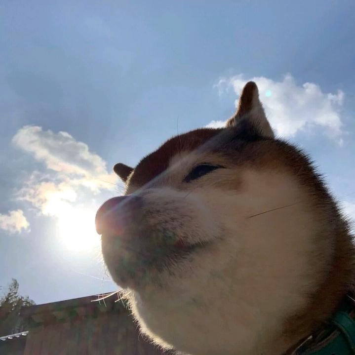 别管我叫叔