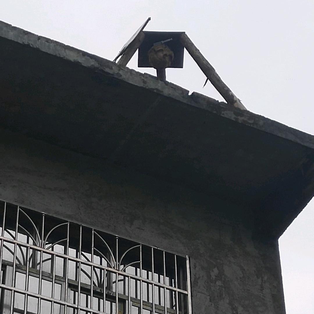 爱徒客