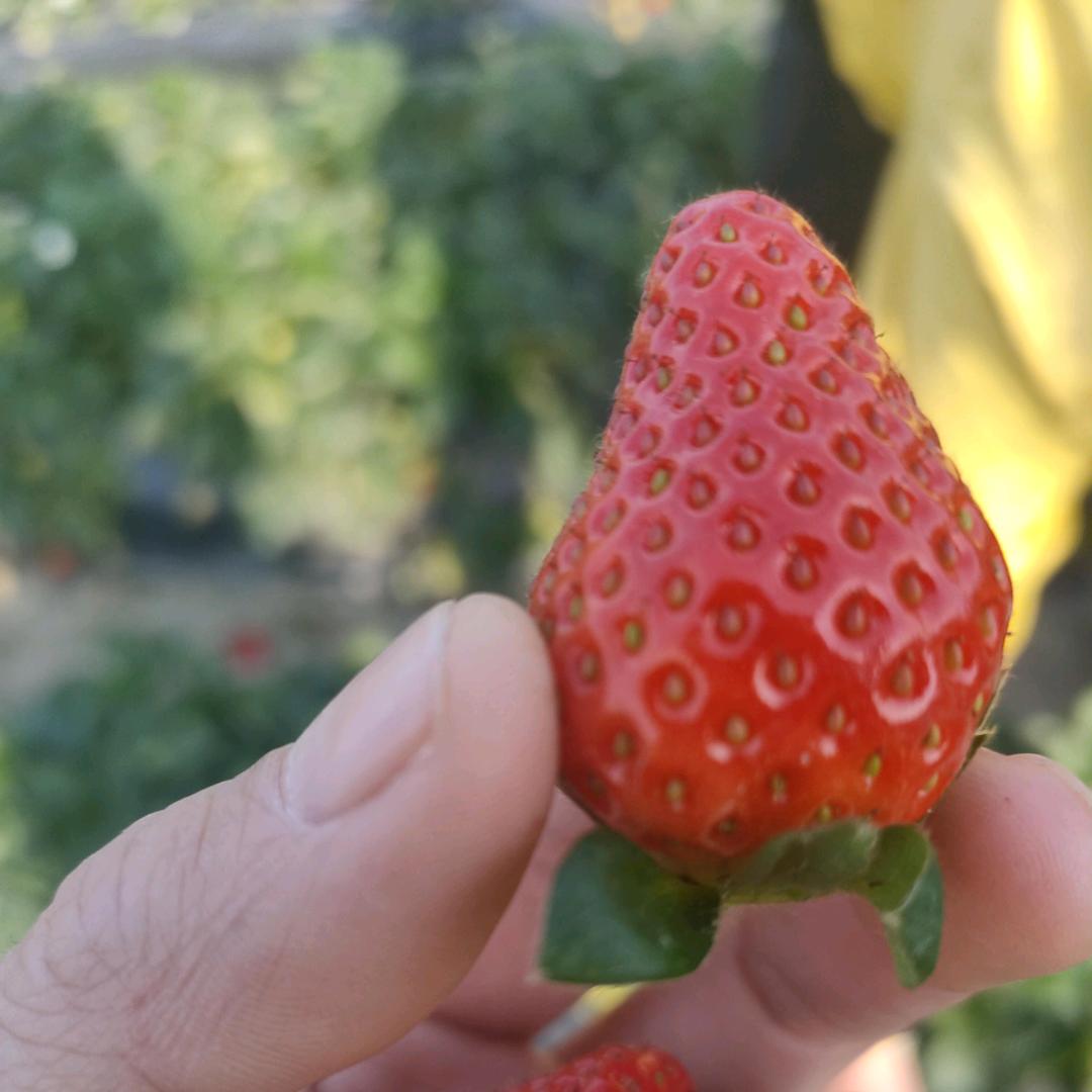 我的世界！！！你不懂