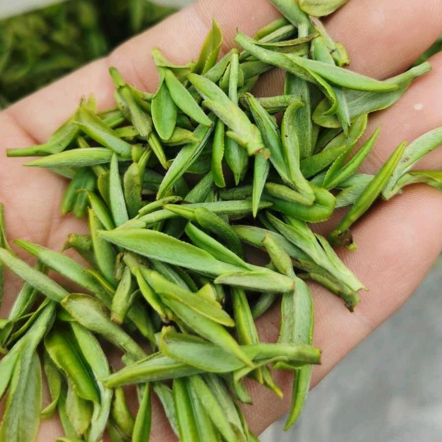 御豪源茶叶