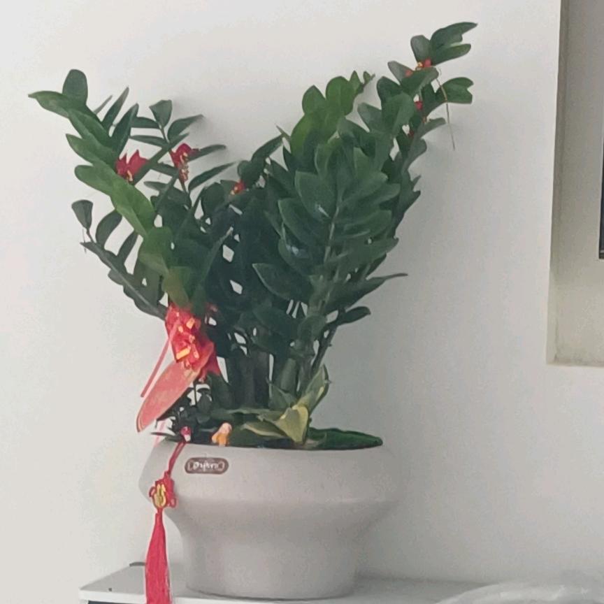 祥源百货好店