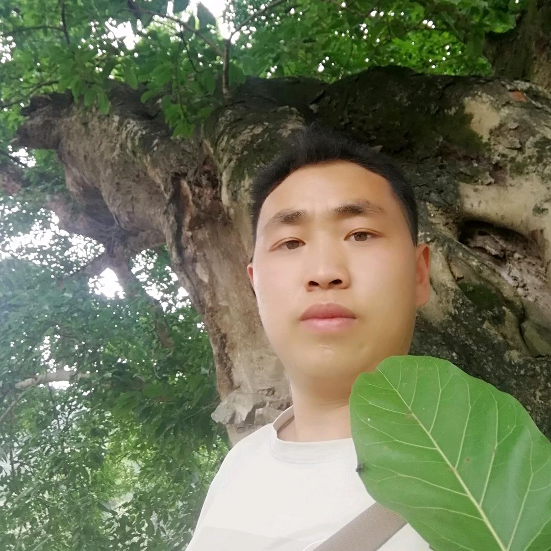 火爆影视剪辑