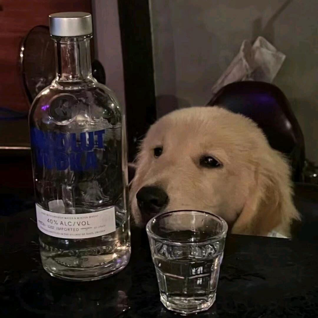 铭记等待