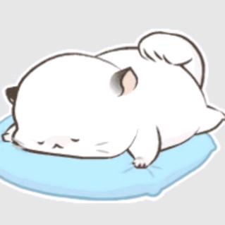 生命之花